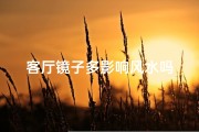 客厅镜子多影响风水吗
