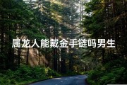 属龙人能戴金手链吗男生