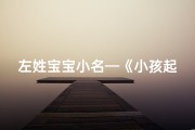 左姓宝宝小名—《小孩起名：左姓如何巧妙搭配姓名字》
