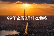 99年农历8月什么命格,99年八月出生的是什么命