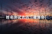 姓名测试吉凶三藏算命(《姓名吉凶一测便知：abcd揭秘命运密码》)