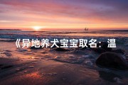 《异地养犬宝宝取名：温馨宠物男宝佳名精选》