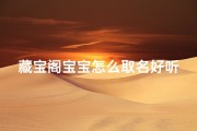 藏宝阁宝宝怎么取名好听—藏宝阁买的宝宝怎么取