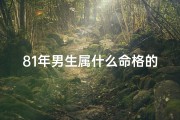 81年男生属什么命格的人、81年男生属什么命格：揭秘生肖蛇的神秘魅力