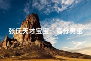张氏天才宝宝：高分男宝闪耀未来光彩
