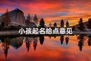 小孩起名给点意见