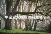 牛宝宝双胞胎妈妈取名字_牛宝宝双胞胎妈妈的幸福时光