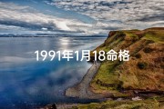 1991年1月18命格,阳历1991年1月18日的命运