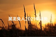 属龙兔人2021年运势运程—2021兔龙运势：双喜临门，好运连连