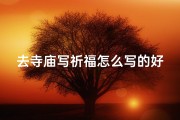 去寺庙写祈福怎么写的好一点;《寺庙祈福之旅：心灵净化之旅》