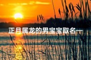 正月属龙的男宝宝取名—龙腾盛世，正月龙子：喜庆吉祥宝宝名揭晓