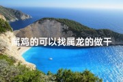 属鸡的可以找属龙的做干爹吗