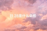 11.28是什么命格-11.28出生的