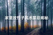 家里放竹子风水禁忌揭秘