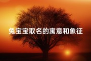 兔宝宝取名的寓意和象征是什么-《兔宝宝：自由翱翔的灵动象征》
