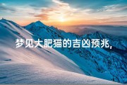 梦见大肥猫的吉凶预兆,《梦见大肥猫：吉凶预兆揭秘》