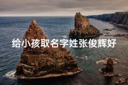 给小孩取名字姓张俊辉好吗(张俊的名字是什么意思)