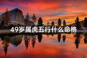49岁属虎五行什么命格,今年49岁五行属什么