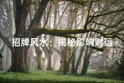 招牌风水：揭秘影响财运的神秘力量