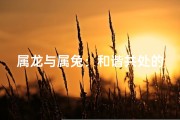 属龙与属兔：和谐共处的秘诀