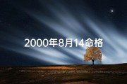 2000年8月14命格6(2000年8月14日命格6：揭秘非凡人生轨迹)
