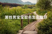 萧姓男宝宝取名怎么取好听,萧姓好听的男孩名字