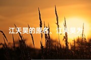 江天昊的原名、江天昊为小孩取名，创意无限新名诞生