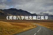 《男命八字地支藏已葵辛：揭秘命运奥秘》