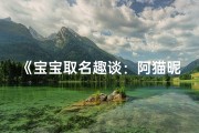 《宝宝取名趣谈：阿猫昵称背后的温馨故事》