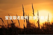 宝宝取名软件注册下载大全免费-宝宝取名软件18.05注册码