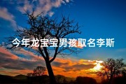 今年龙宝宝男孩取名李斯樾好不好