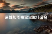 易姓加周姓宝宝取什么名字_易周双姓宝宝，取何名彰显独特气质？