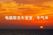 电脑取名牛宝宝，牛气冲天的数码伙伴命名指南