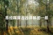 易经踩屎吉凶详解图—易经踩屎吉凶详解图片大全