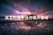 属龙和属牛适合做夫妻吗-属龙的和属牛的婚配合适吗