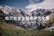 给万姓宝宝取名字大全男(大气的万姓男孩儿名字大全)