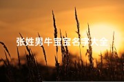 张姓男牛宝宝名字大全