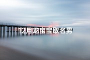 12月龙宝宝取名男