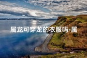 属龙可穿龙的衣服吗-属龙专属：龙袍加身，彰显尊贵气质