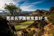 男孩名字属猴寓意好-生肖猴宝宝男孩名字精选：猴宝宝男孩名字大全
