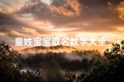 童姓宝宝取名数字大全：男孩名字精选攻略