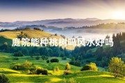 庭院能种桃树吗风水好吗