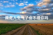 属龙人生气了会不理你吗、属龙人生气好几天不理我怎么办