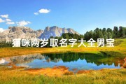 猫咪两岁取名字大全男宝宝(小猫名字大全可爱男猫)