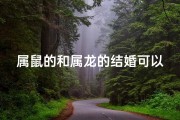 属鼠的和属龙的结婚可以吗,属鼠遇龙缘，佳偶天成喜结良缘