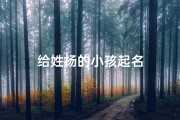 给姓杨的小孩起名