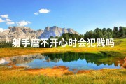 射手座不开心时会犯贱吗