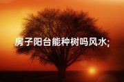 房子阳台能种树吗风水;阳台种树风水讲究多，家居运势提升秘籍