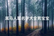 属马人取名字大全男宝宝(属马的男宝宝名字大全)