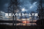 属龙人今年为什么不顺_属龙今年运势不顺：揭秘原因与应对策略